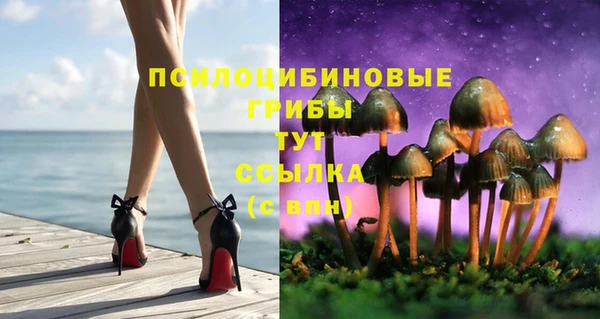 винт Армянск